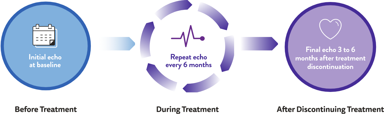 Graphic of echocardiogram monitoring schedule: before, during, and after discontinuing treatment.