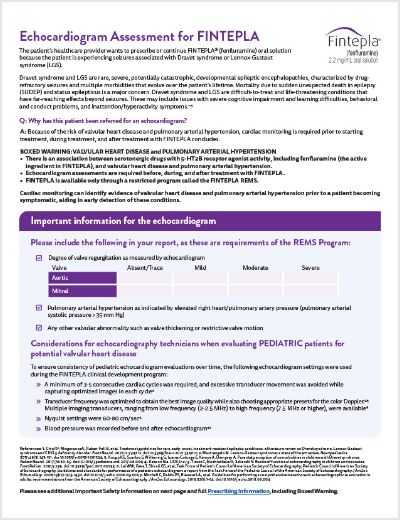 Echocardiogram Assessment Sheet